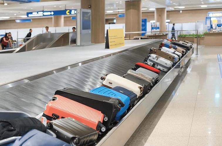 飞机托运行李箱的最大尺寸 飞机托运行李箱的最大尺寸