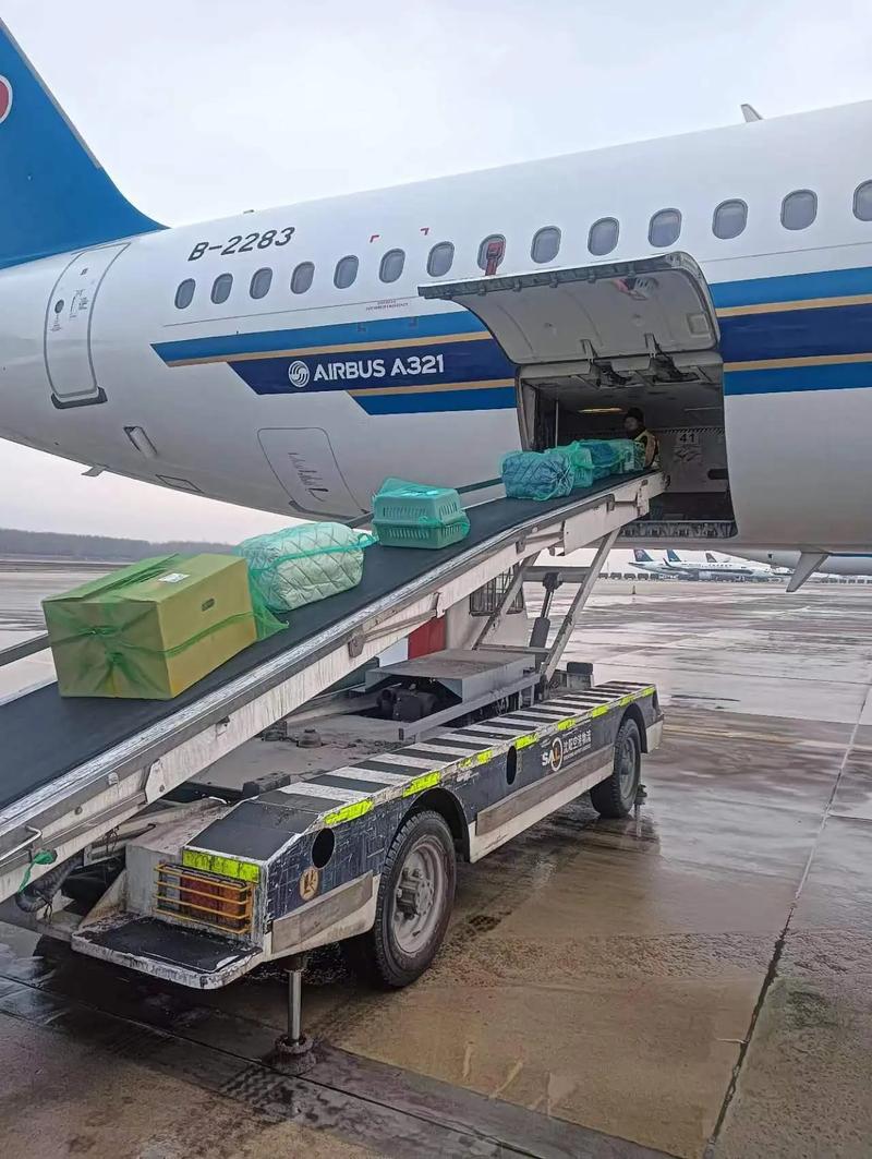 飞机托运的行李箱有多大的尺寸? 飞机托运的行李箱有多大的尺寸?