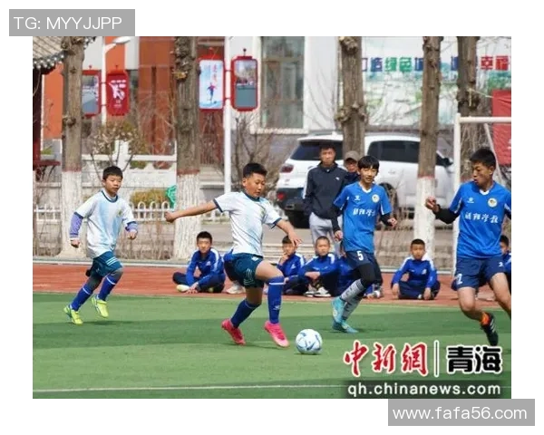 深圳排球队的崛起之路:城市联赛中的拼搏与梦想