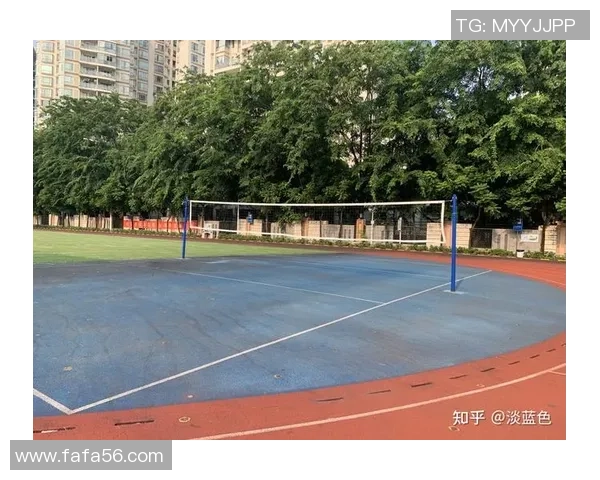 深圳排球队比赛经验分析与提升策略探讨 深圳排球队比赛经验分析与提升策略探讨